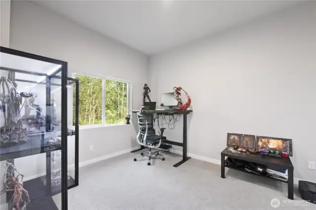 4th Bedroom on lower level