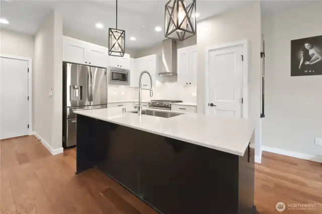 features hardwood floors, quartz countertops, a large island, and sleek stainless-steel appliances, Pantry closet