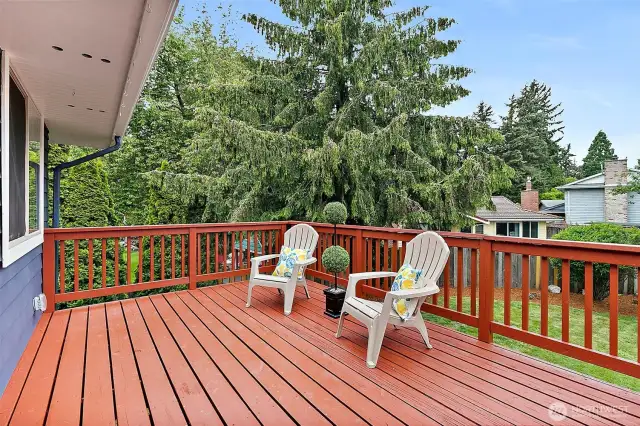 Grill-ready deck with built-in gas BBQ hookup, perfect for summer evenings and hosting friends.