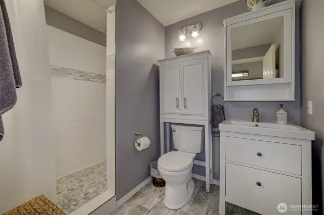 Downstairs bathroom with walk-in shower