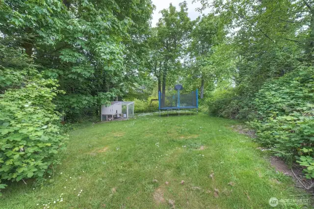 Chicken coop & trampoline, upper lot