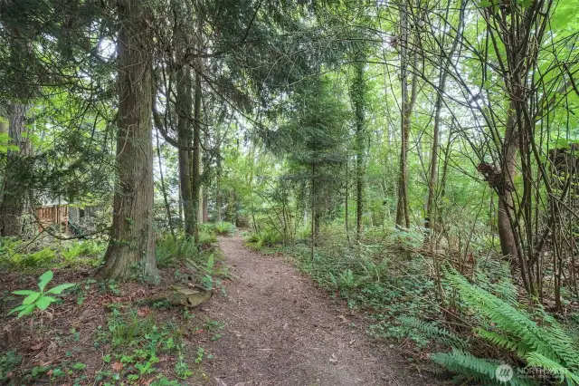 Going to upper lot, zip line to the right