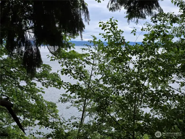View from top of the hill looking at Puget Sound