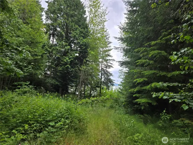 Trail down to the beach.