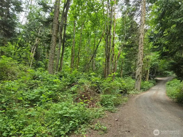 This lot is on the Left side of this road.