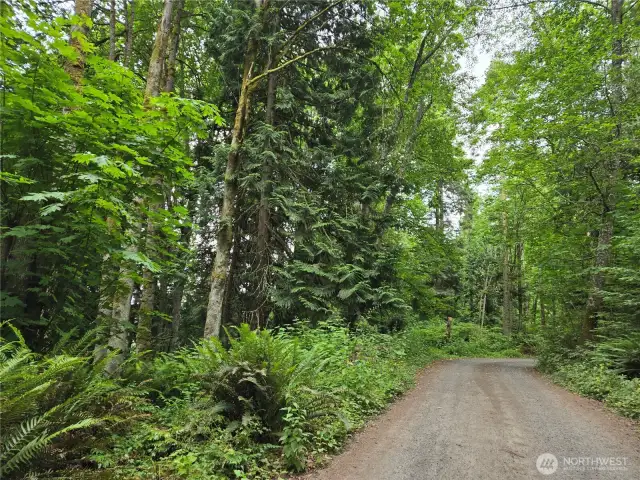 This lot is on the Left side of this road.