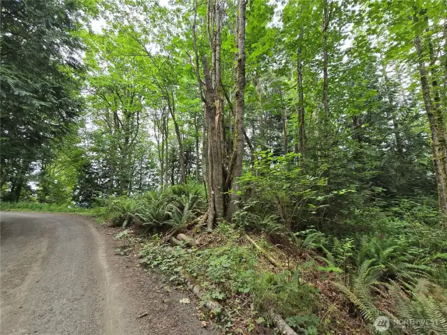 This lot is on the right and straight ahead.