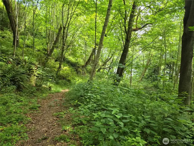 trail in middle of the property on the way to the beach.