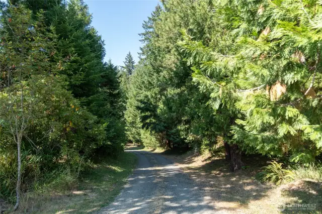 View from parking area on house level, looking down driveway towards Kamilche Pt Rd. Did we mention it is PRIVATE?