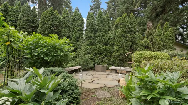 Front Yard - Garden.