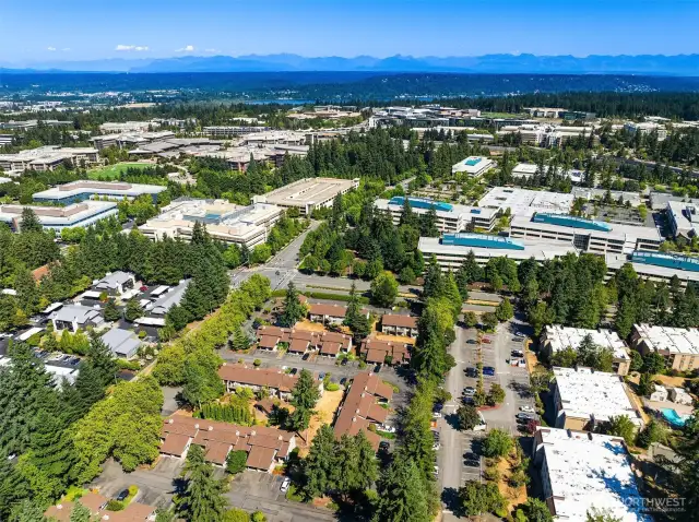 Close to downtown Redmond, Light Rail, shopping and 520.