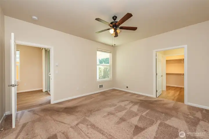 Primary Ste without Staging