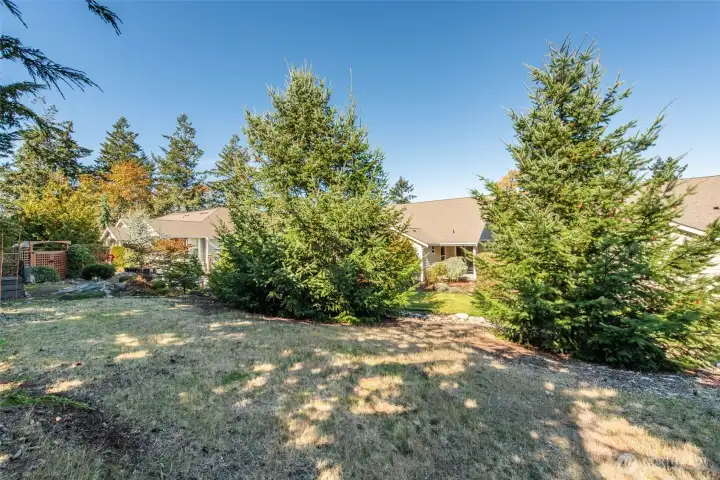 Terrific Privacy South of Home