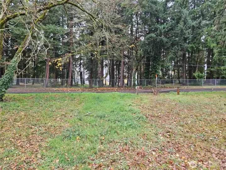 Trees across the street are part of  Harry Todd Park.