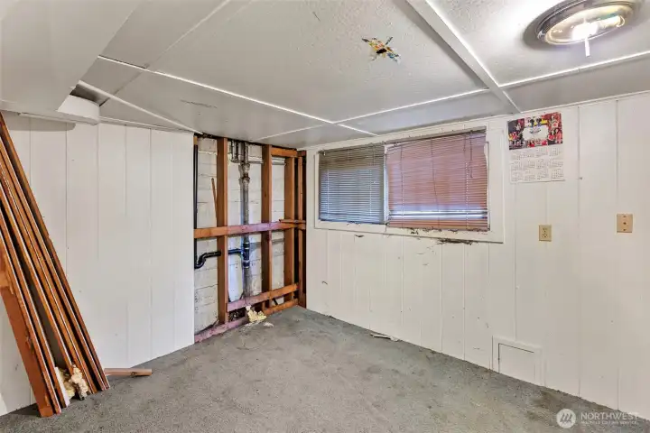 Basement - partially finished bedroom
