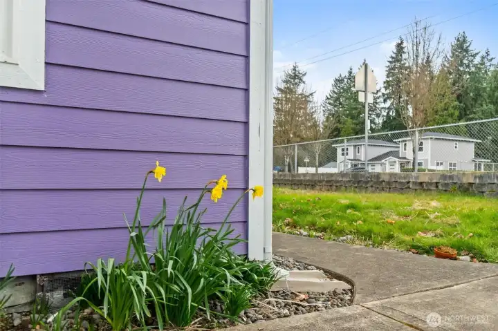 Spring colors coming to life!