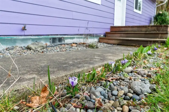 Flowers beginning to bloom!