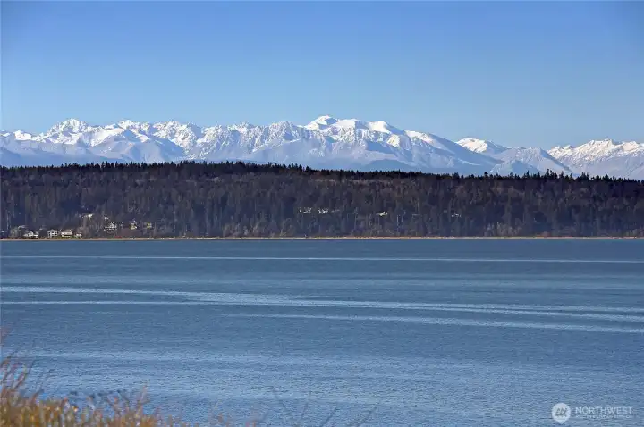 Views From The Beach