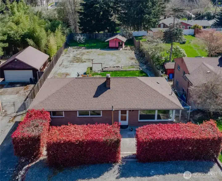 Mid-century brick beauty with privacy hedge