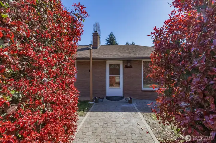 Peekaboo view of front door through the hedges
