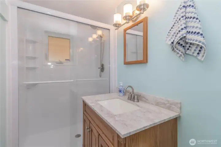 Fully updated basement bathroom with walk-in shower