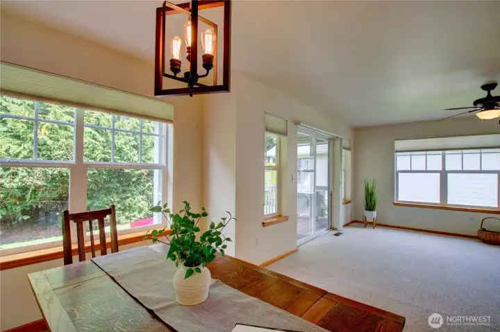 Lots of natural light and privacy in the backyard.