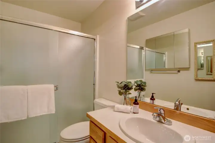 Walk in shower in primary bathroom, medicine cabinet with mirror on back wall.