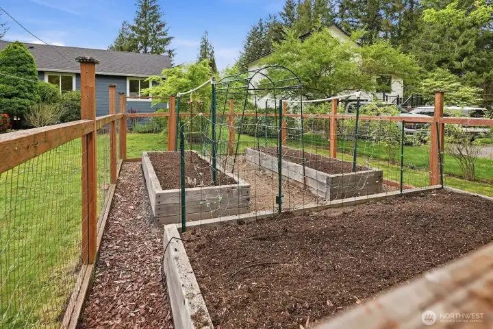 Expansive fenced garden with three generous planter boxes, complemented by a curated mix of fruit trees and shrubs including blueberries, cherries, and plums, plus irrigation serving both the garden and front yard plantings.