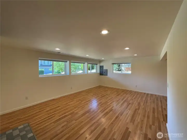 Basement Rec room