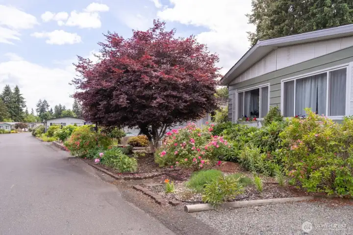 Situated directly across the street from the community club house this home feels like a little english cottage complete with a perennial garden! Situated directly across the street from the community club house this home feels like a little english cottage complete with a perennial garden!