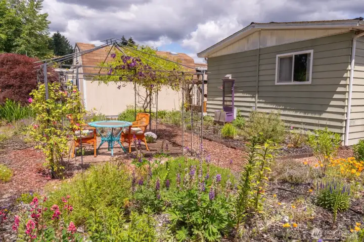 Another view of the lovely back yard. Another view of the lovely back yard.