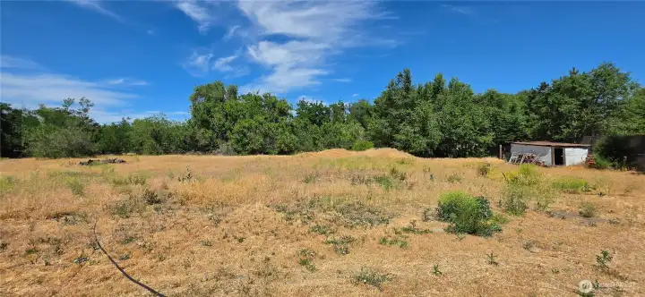 Large lot full of possibilities