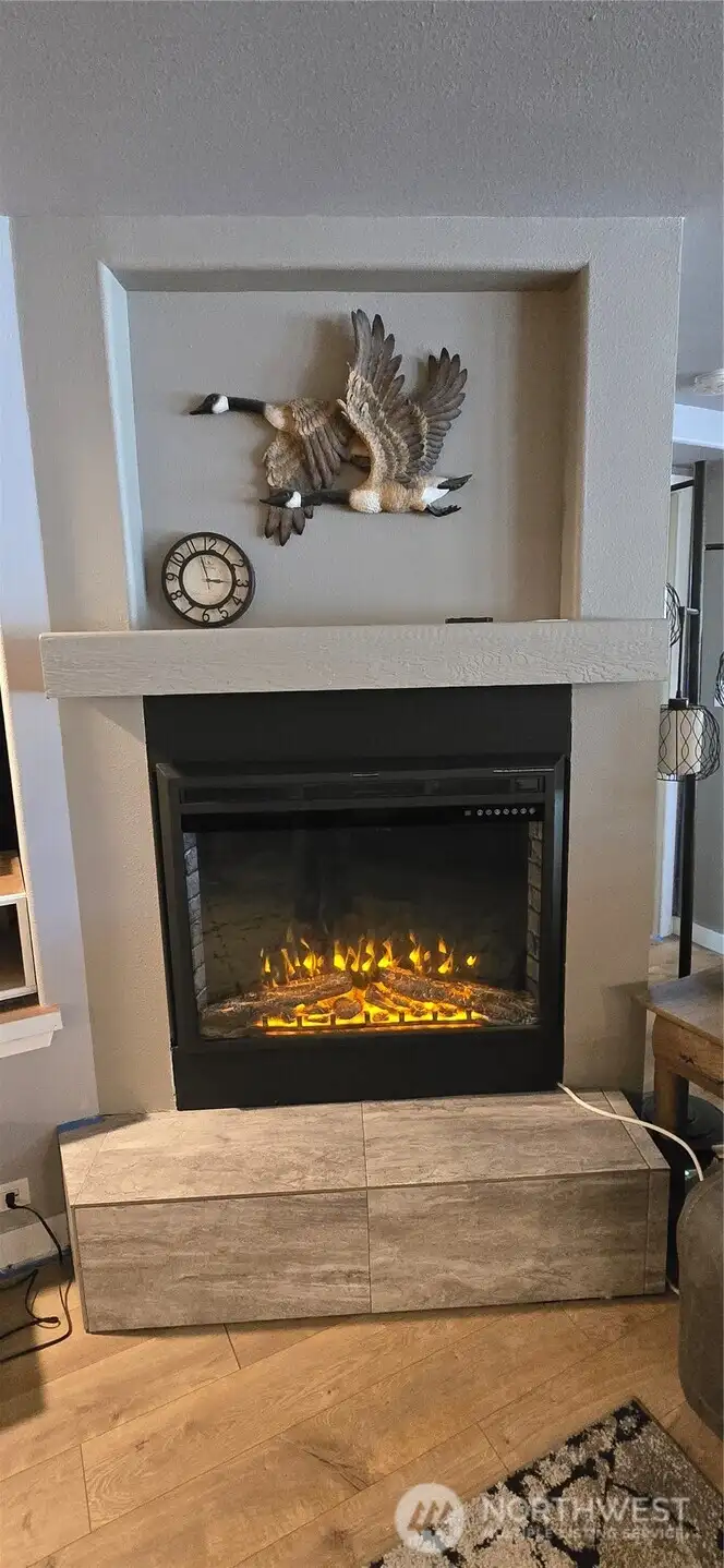Electric fireplace in living room