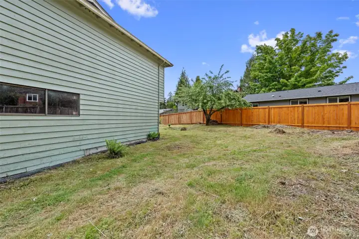 Back Yard with a partially Newer Fence. Back Yard with a partially Newer Fence.