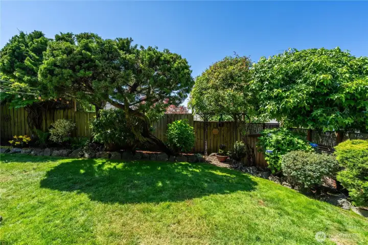 Perfectly private landscaped backyard. If you tour this home, you need to check out the tree growing around a heart-shaped stone.