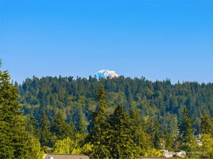On clear days, Mount Rainer’s summit greets you, rising above the forested south end of the island. A fun treat when she graces us with her presence! On clear days, Mount Rainer’s summit greets you, rising above the forested south end of the island. A fun treat when she graces us with her presence!