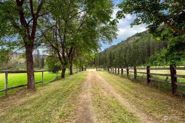 A tree-lined entry leads to the pastoral setting.