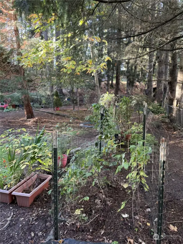 FRONT YARD & GARDEN SPACE