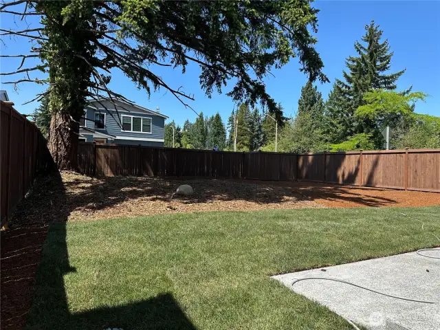A spacious rear yard, enjoy those wonderful Pacific Northwest summer days!