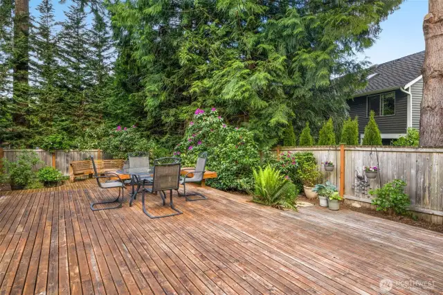 Fully fenced backyard