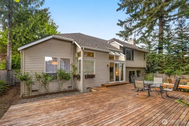 Low maintenance backyard