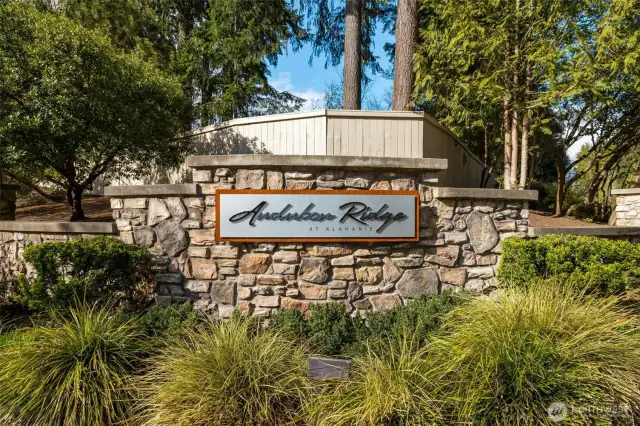 Audubon Ridge is one of the most desirable divisions in Klahanie. Block parties are commonly found here.