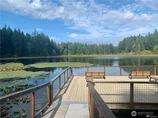 Yellow Lake in Klahanie- 1.25 miles of trails plus a dock to watch ducks