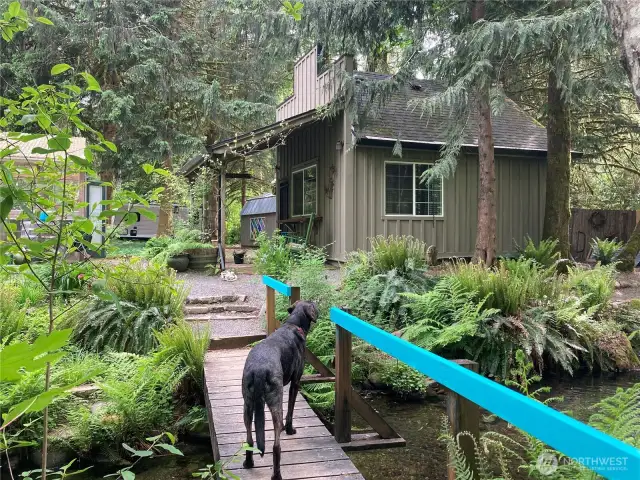 Follow the puppy and cross the bridge