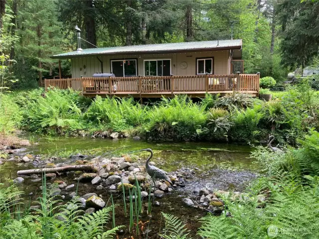 Your vehicle looking back toward the house from the creek