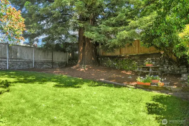 Serene & private backyard is a sweet haven for birds & wildlife.