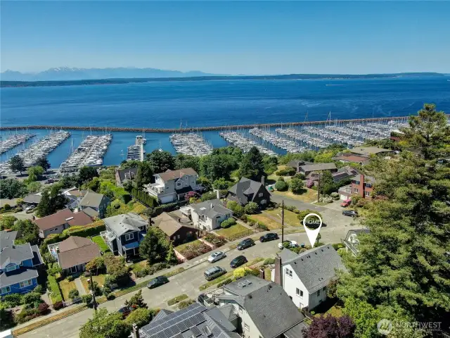 You will love this quiet street just above Shilshole Marina. Heritage Sequoia is a stunning feature in the backyard