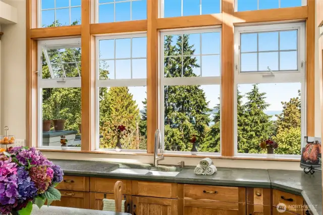 gorgeous windows capture natural light & views
