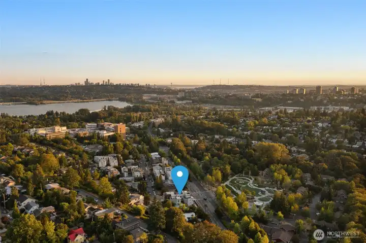 Panoramic outlook to Seattle’s skyline rising above a canopy of Laurelhurst trees. A daily reminder of how close you are to everything.