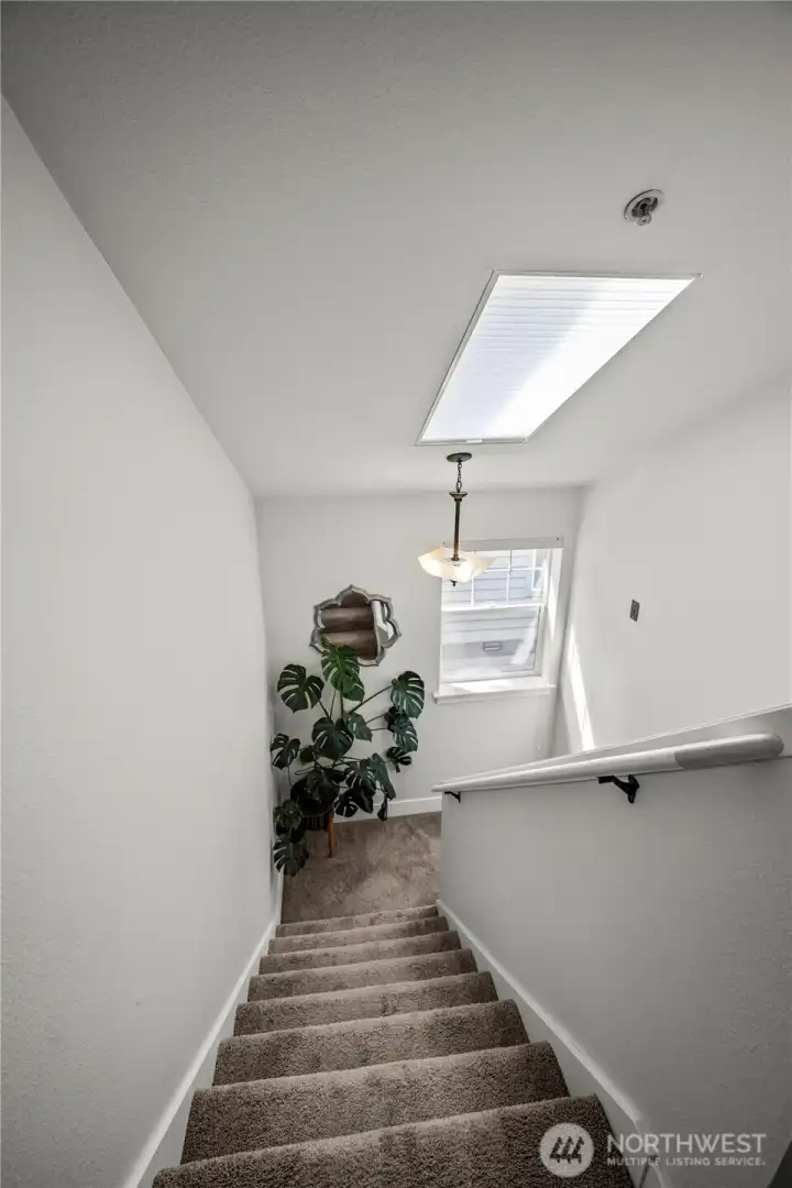 Stairs with skylight!